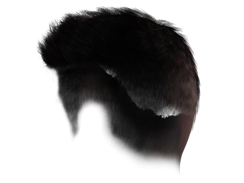 Realistic Hair hawk 3D 모델