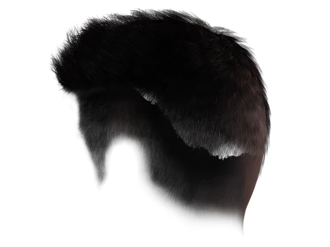 Realistic Hair hawk 3D Model