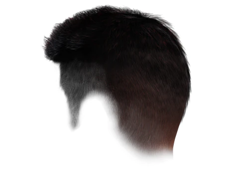 Realistic Hair hawk 3D Model