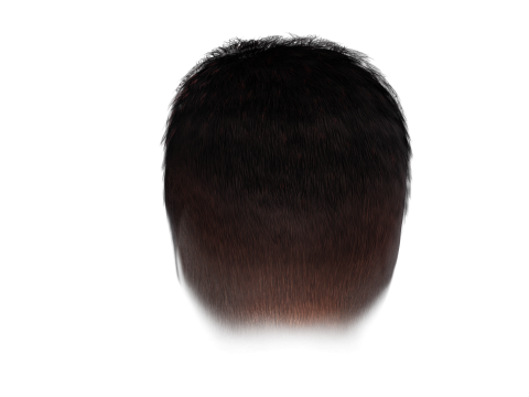 Realistic Hair hawk 3D 모델