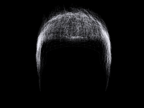 Realistic Hair hawk 3D 모델