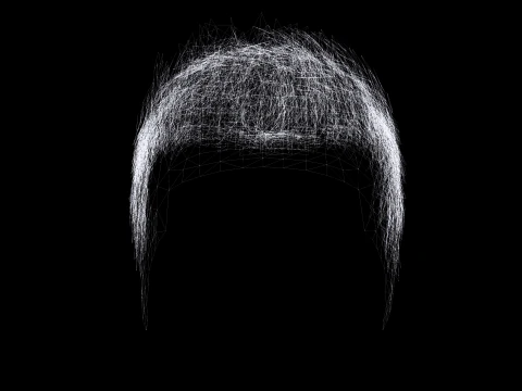 Realistic Hair hawk 3D Model