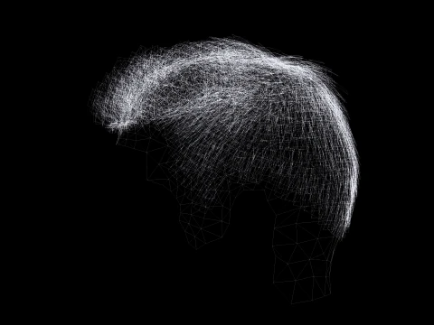 Realistic Hair hawk 3D Model