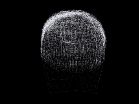 Realistic Hair hawk 3D 모델