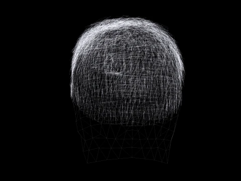 Realistic Hair hawk 3D Model