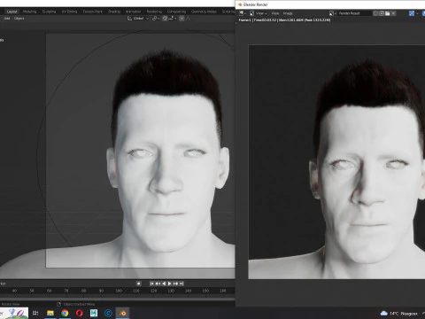 Realistic Hair hawk 3D Model