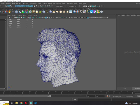 Realistic Hair hawk 3D 모델