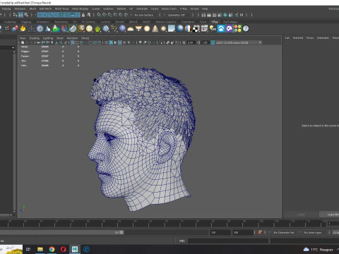 Realistic Hair hawk 3D Model