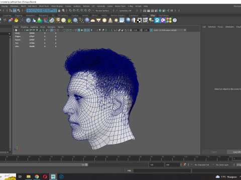 Realistic Hair hawk 3D Model