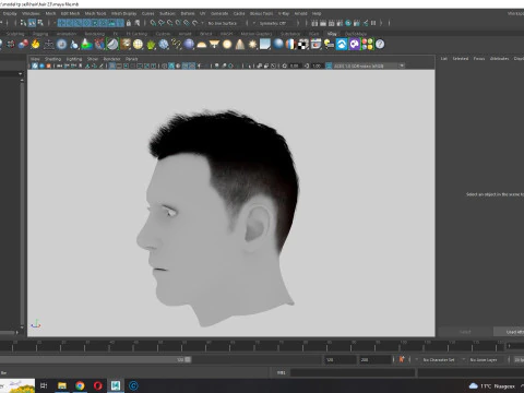 Realistic Hair hawk 3D Model