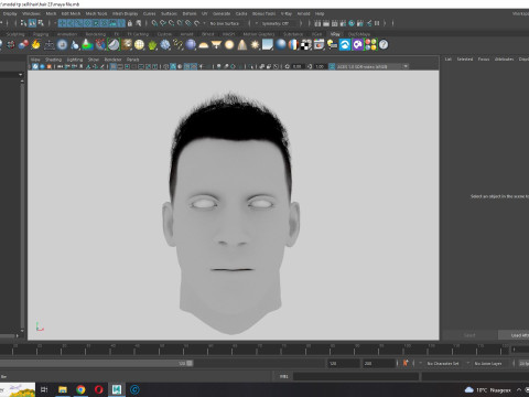Realistic Hair hawk 3D 모델