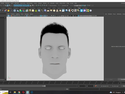 Realistic Hair hawk 3D Model