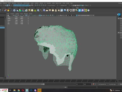 Realistic Hair hawk 3D Model