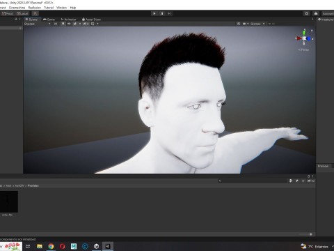 Realistic Hair hawk 3D 모델