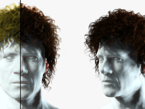 Realistic Hair man afro 3D 模型