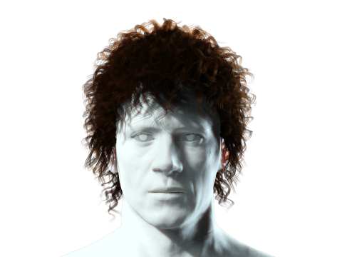 Realistic Hair man afro 3Dモデル