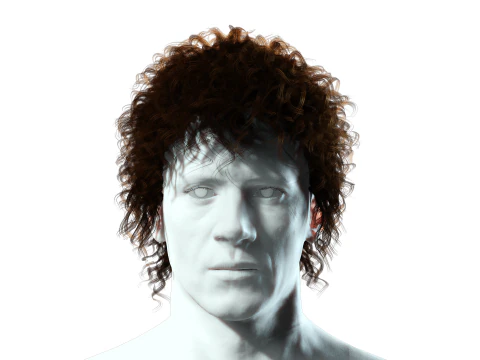 Realistic Hair man afro 3D Model