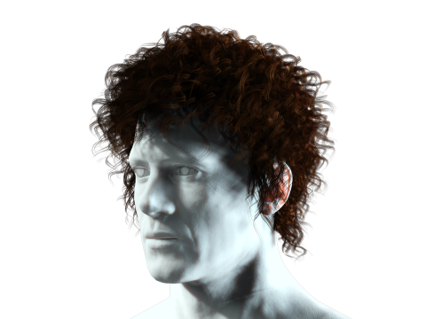 Realistic Hair man afro 3Dモデル