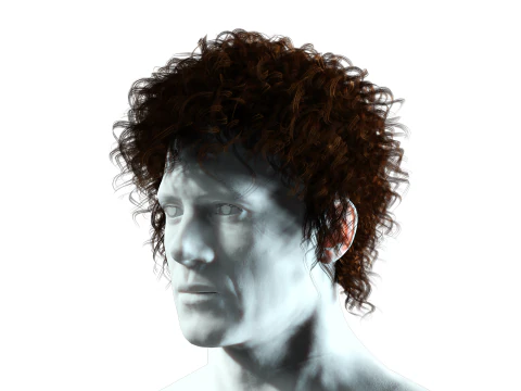 Realistic Hair man afro 3D Model