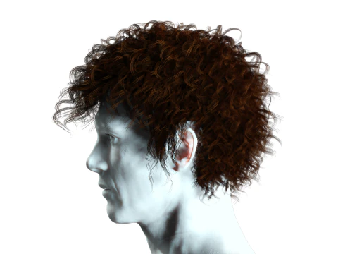 Realistic Hair man afro 3D Model