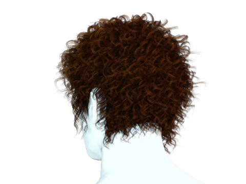 Realistic Hair man afro 3D Model
