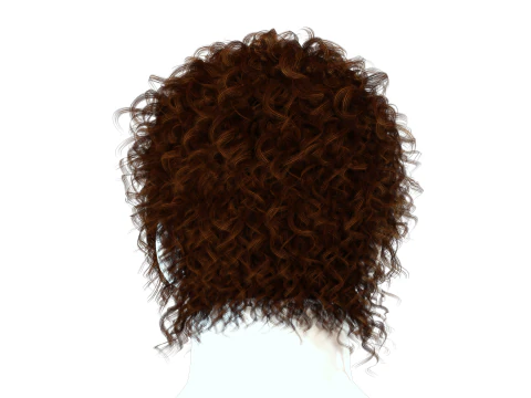 Realistic Hair man afro 3D Model