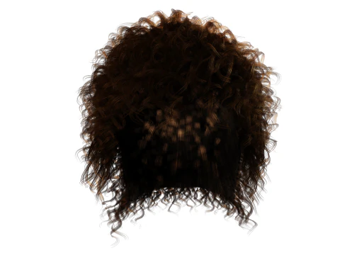 Realistic Hair man afro 3D Model