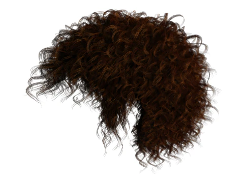 Realistic Hair man afro 3D Model