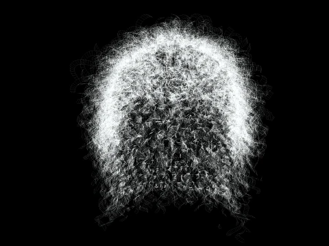 Realistic Hair man afro 3D Model