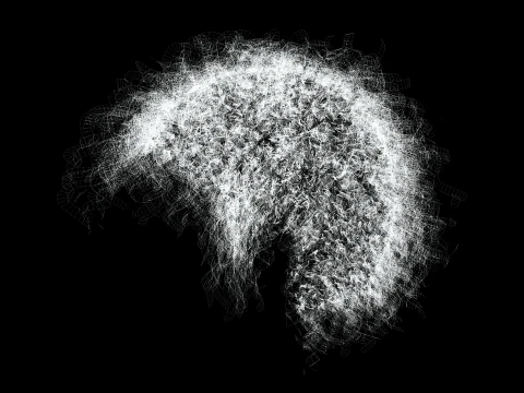 Realistic Hair man afro 3D Model