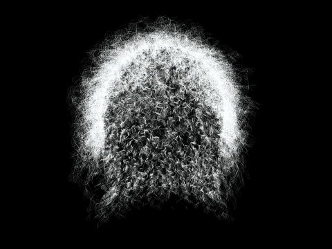 Realistic Hair man afro 3D Model