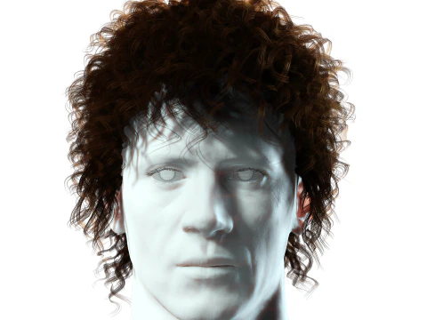 Realistic Hair man afro 3D Model
