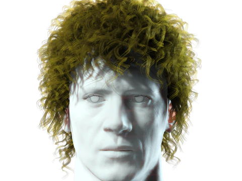 Realistic Hair man afro 3D Model