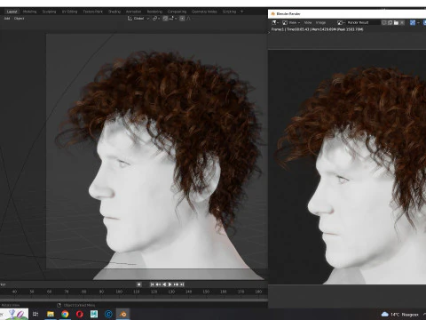 Realistic Hair man afro 3D Model