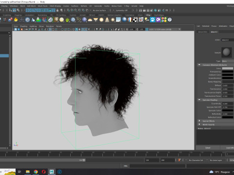 Realistic Hair man afro 3Dモデル
