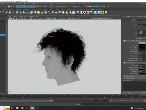 Realistic Hair man afro 3D Model
