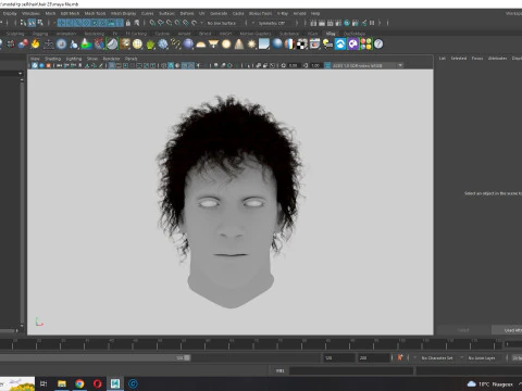 Realistic Hair man afro 3D Model