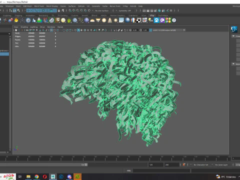 Realistic Hair man afro 3D Model