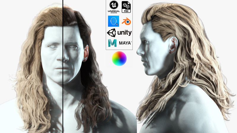Realistic Long Hair Man Model 3D .c4d .max .obj .3ds .fbx .stl .blend