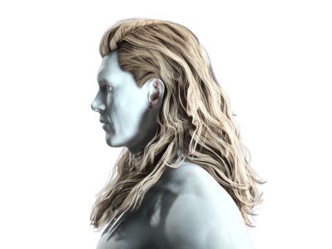 Realistic Long Hair Man Model 3D