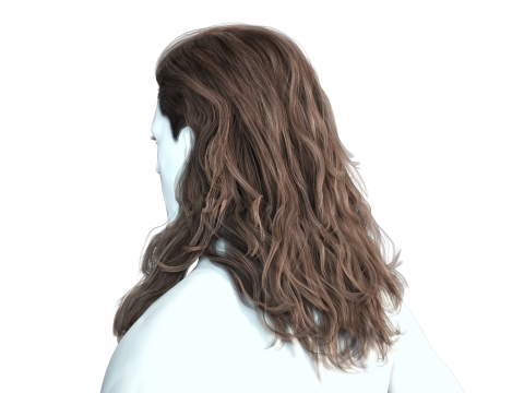 Realistic Long Hair Man Model 3D