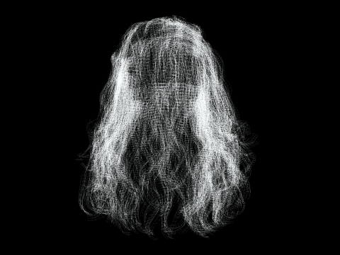 Realistic Long Hair Man Model 3D