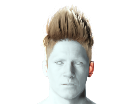 Realistic Hair hawk cyberpunk 3Dモデル