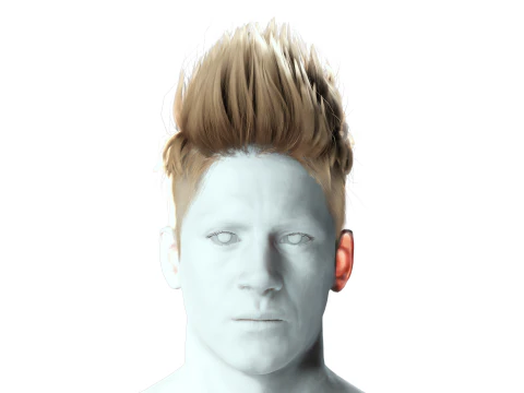Realistic Hair hawk cyberpunk 3D Model