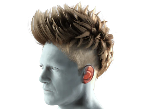 Realistic Hair hawk cyberpunk 3D Model