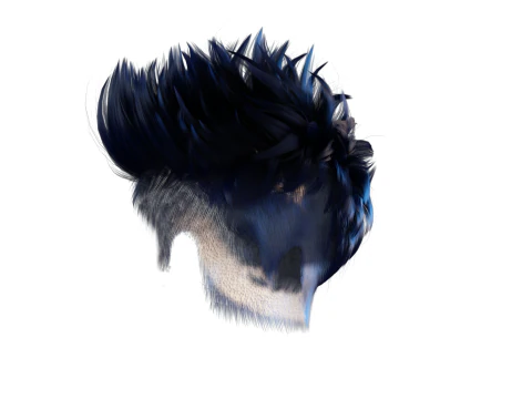 Realistic Hair hawk cyberpunk 3D Model