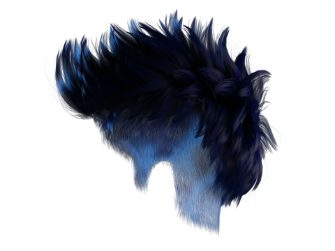 Realistic Hair hawk cyberpunk 3Dモデル