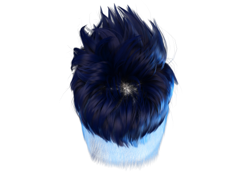 Realistic Hair hawk cyberpunk 3Dモデル