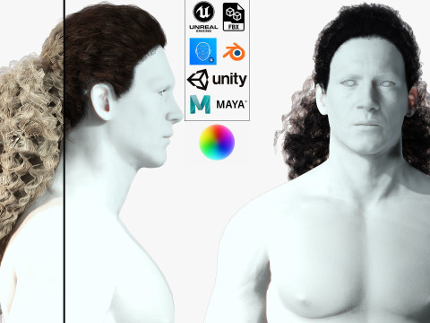 Realistic long hair 3D 模型
