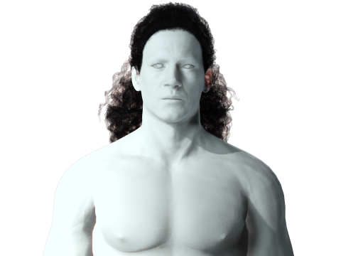 Realistic long hair 3Dモデル